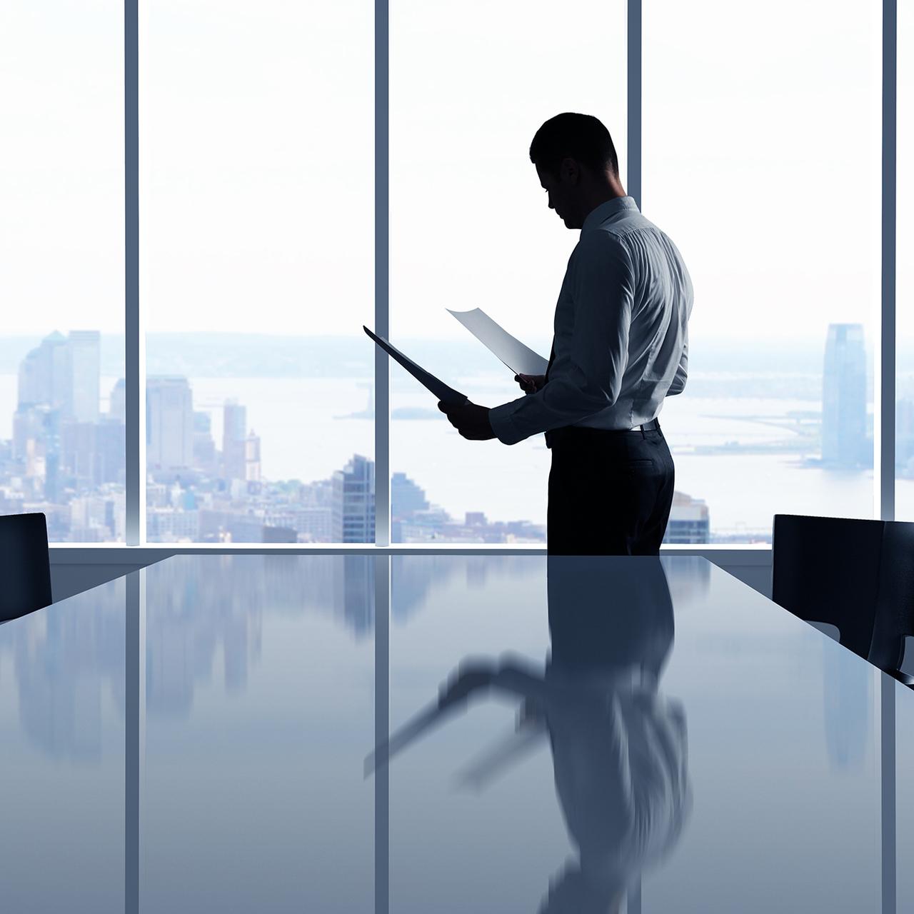 Professional client presentation setup showing 3D element integration